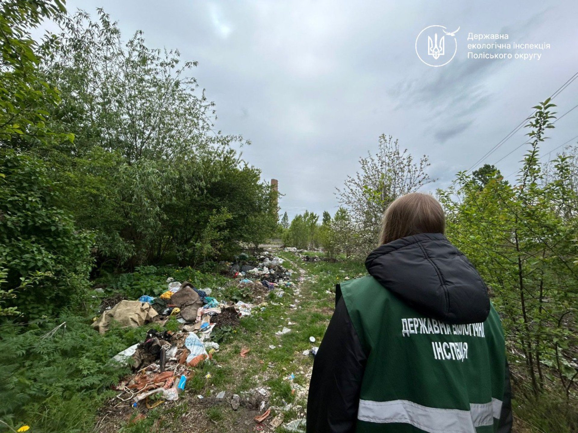 У Житомирі гори сміття «загубились» поблизу дороги на сміттєвий полігон