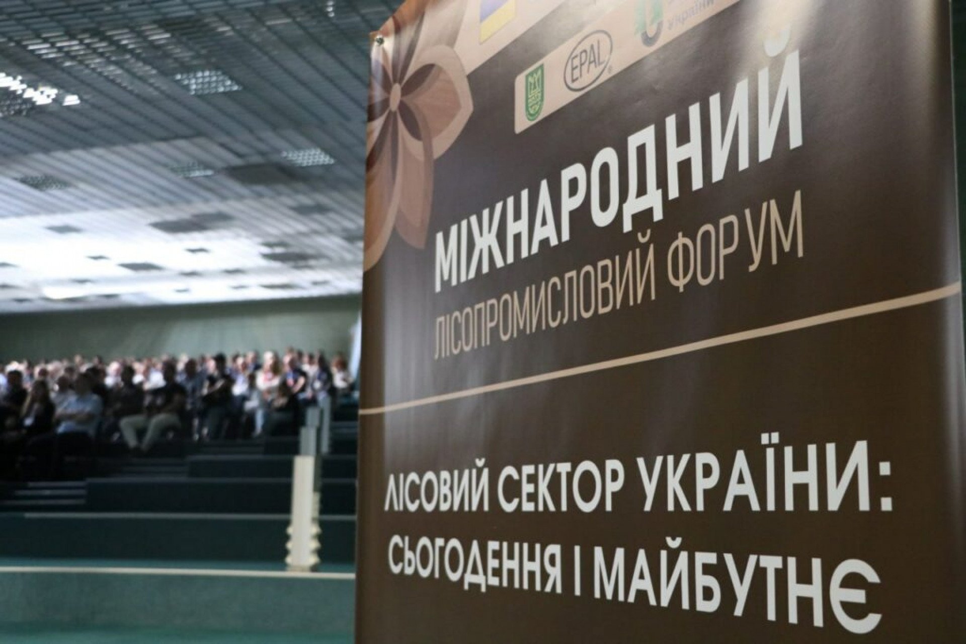 Майбутнє лісової галузі на Житомирщині та перспективи розвитку надлісництв