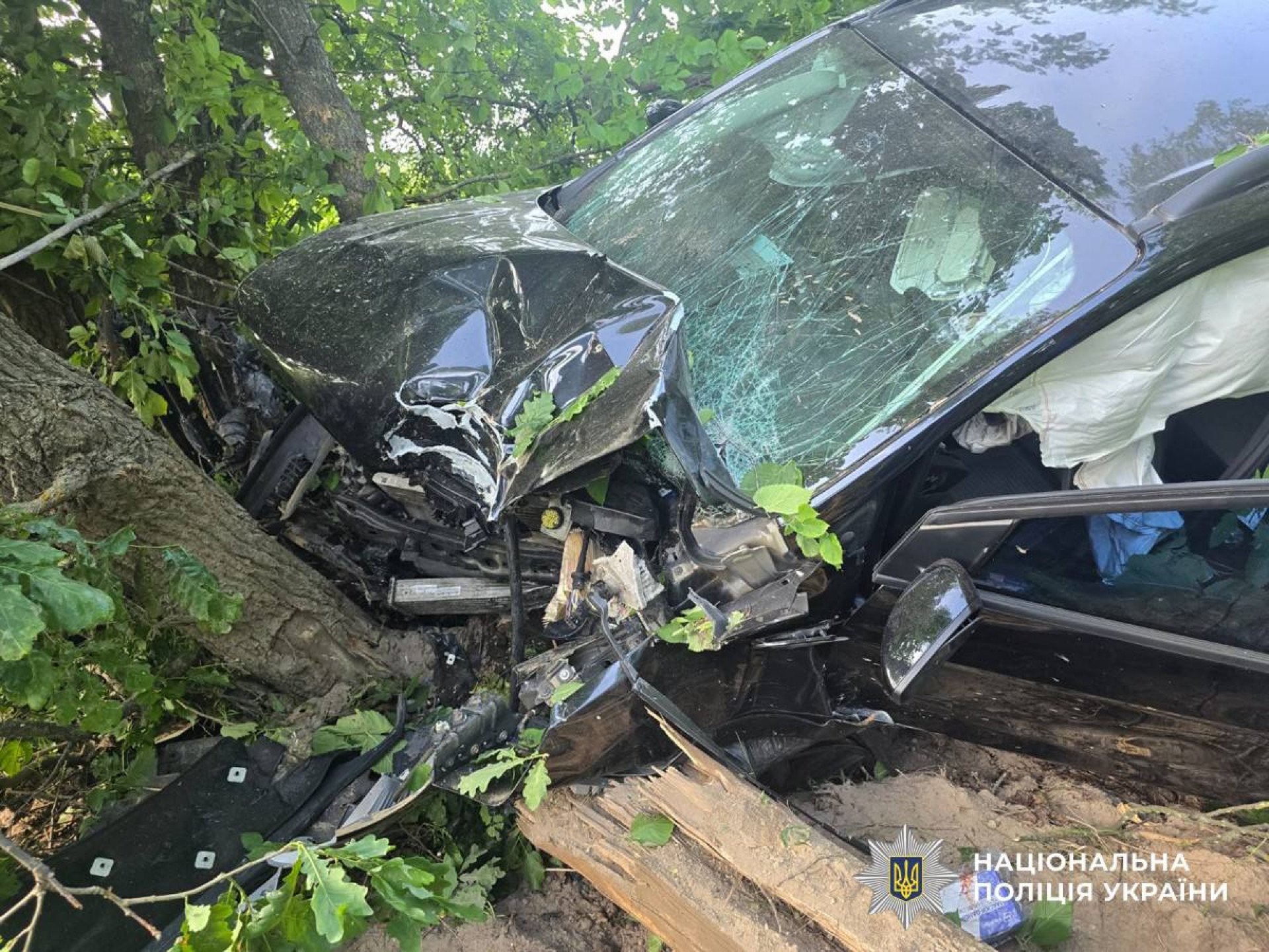 Киянин злетів з траси та врізався в дерево: ДТП у Житомирському районі