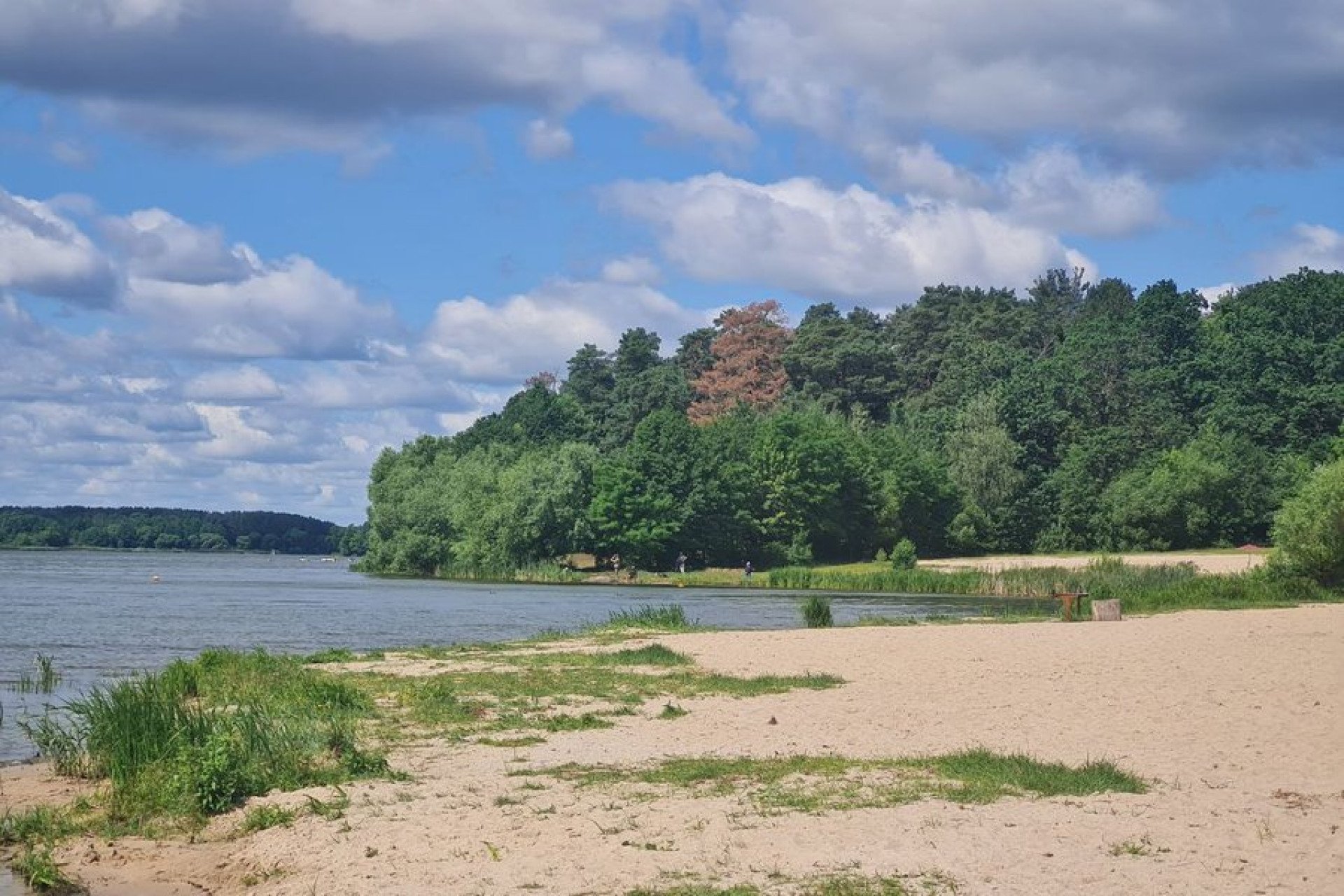Купатися не варто: практично у всіх водоймах Житомирщини вода не відповідає санітарним вимогам