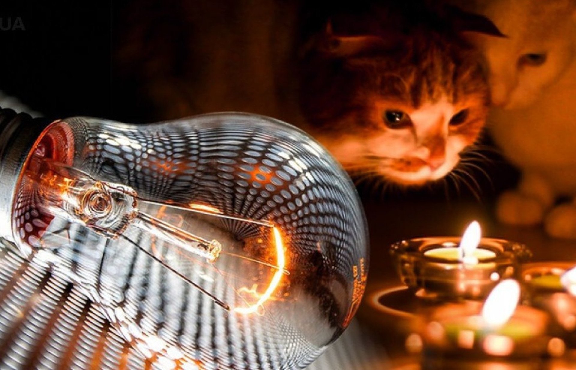 Графік планових відключень електроенергії 15 листопада в Житомирській області