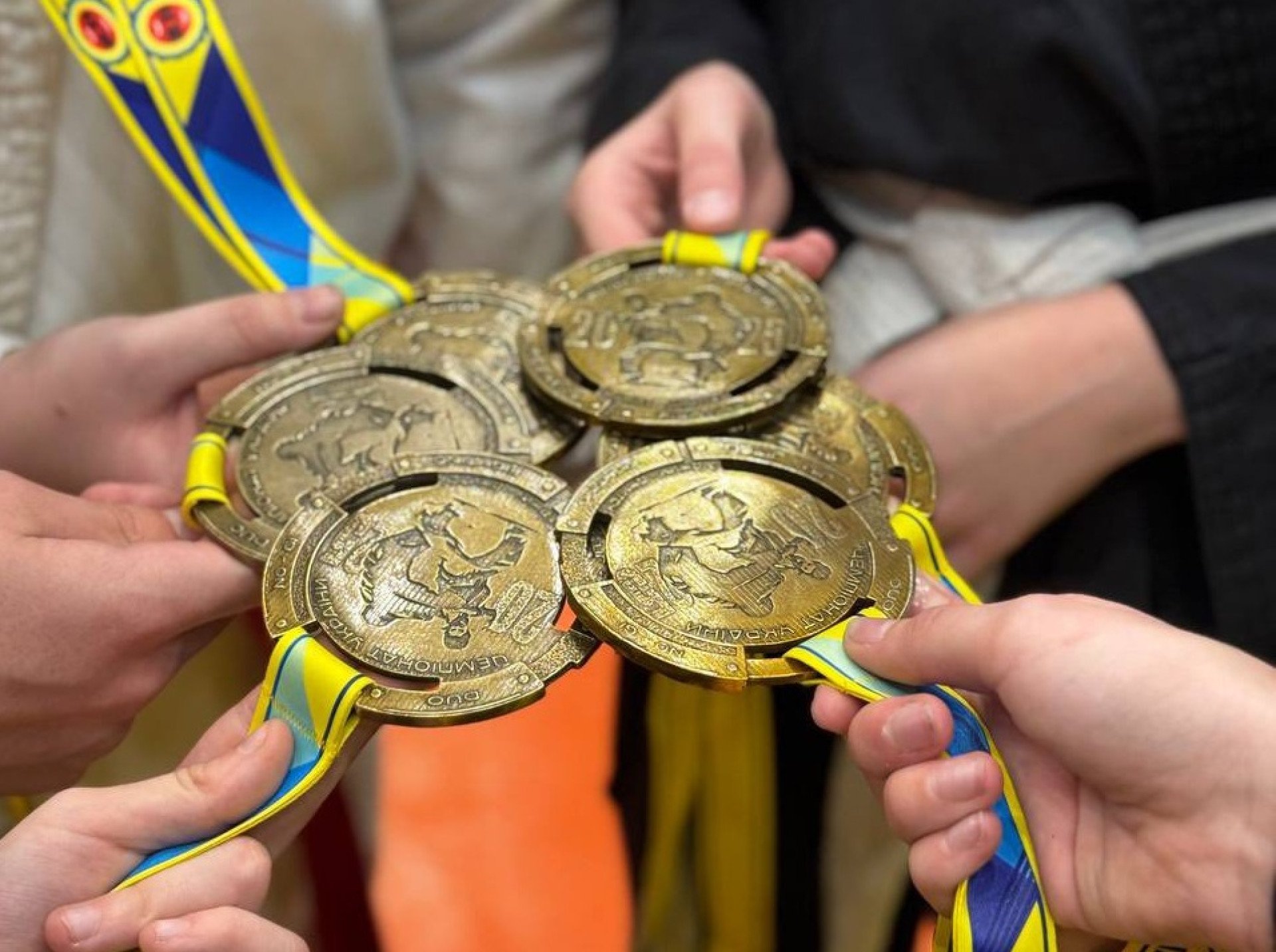 Майже півтора десятка медалей: спортсмени з Житомирщини виступили  у Чемпіонаті України з джиу-джитсу