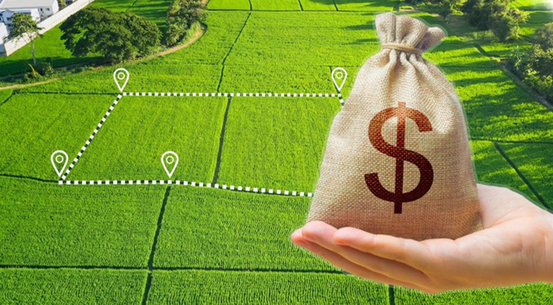 Малинській громаді повернуть землю та понад 2,3 млн грн боргу з орендної плати