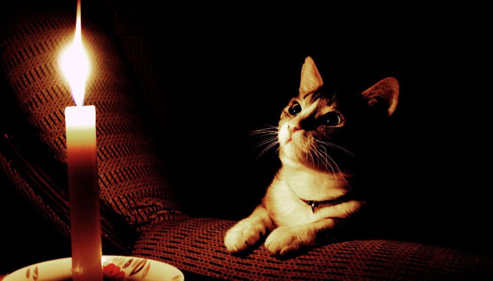 Графік планових відключень електроенергії на 13 січня в Житомирській області