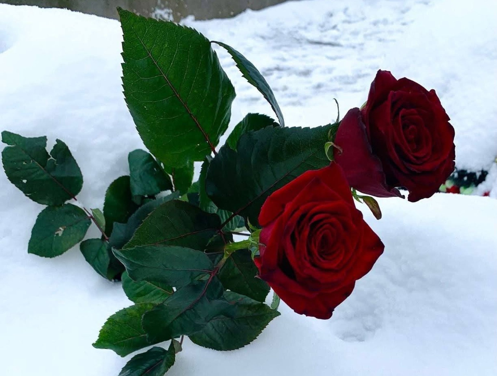 У Житомирі прощалися із 49-річним Воїном Русланом Коноброцьким