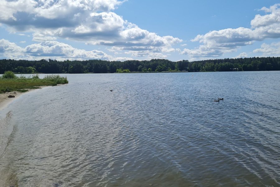 Купатися не варто: практично у всіх водоймах Житомирщини вода не відповідає санітарним вимогам