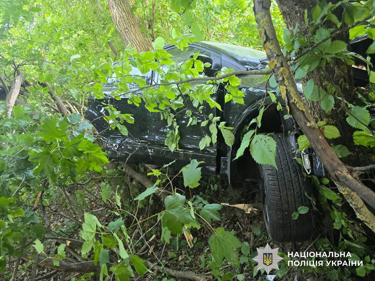 Киянин злетів з траси та врізався в дерево: ДТП у Житомирському районі