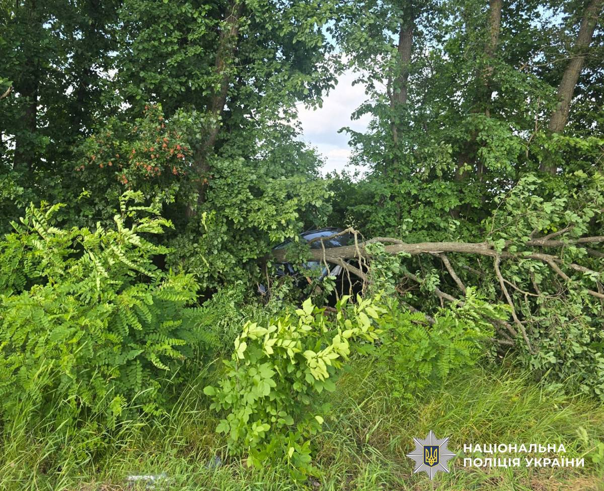 Киянин злетів з траси та врізався в дерево: ДТП у Житомирському районі