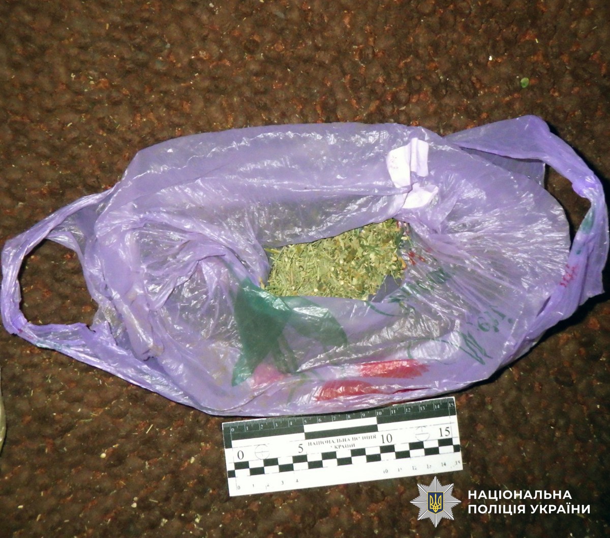 Посилка зі «сюрпризом»: на Богунії в чоловіка виявили наркотики після візиту до пошти