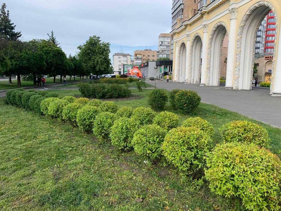 У Житомирі комунальники впорядковують зелені зони