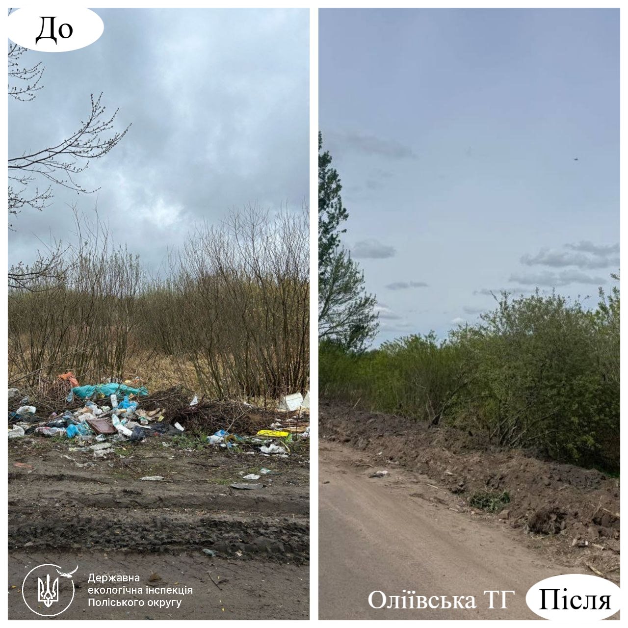 Смітники на Андріївській у Житомирі прибрали після листів екоінспекції