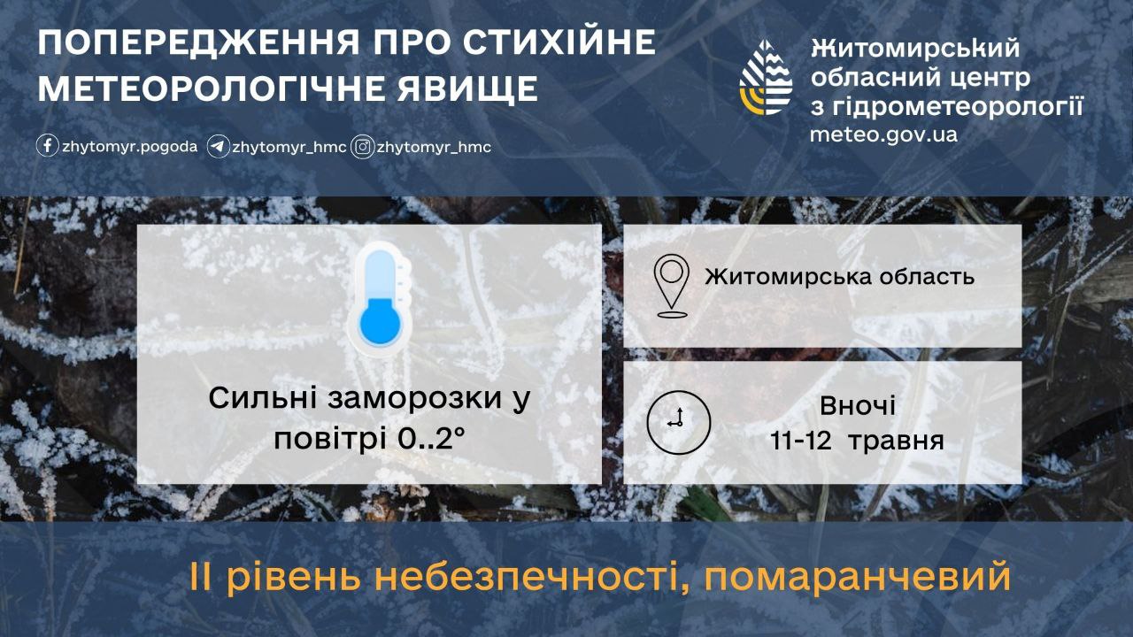 Тепла не буде: вихідні в Житомирі пройдуть із дощами та холодом