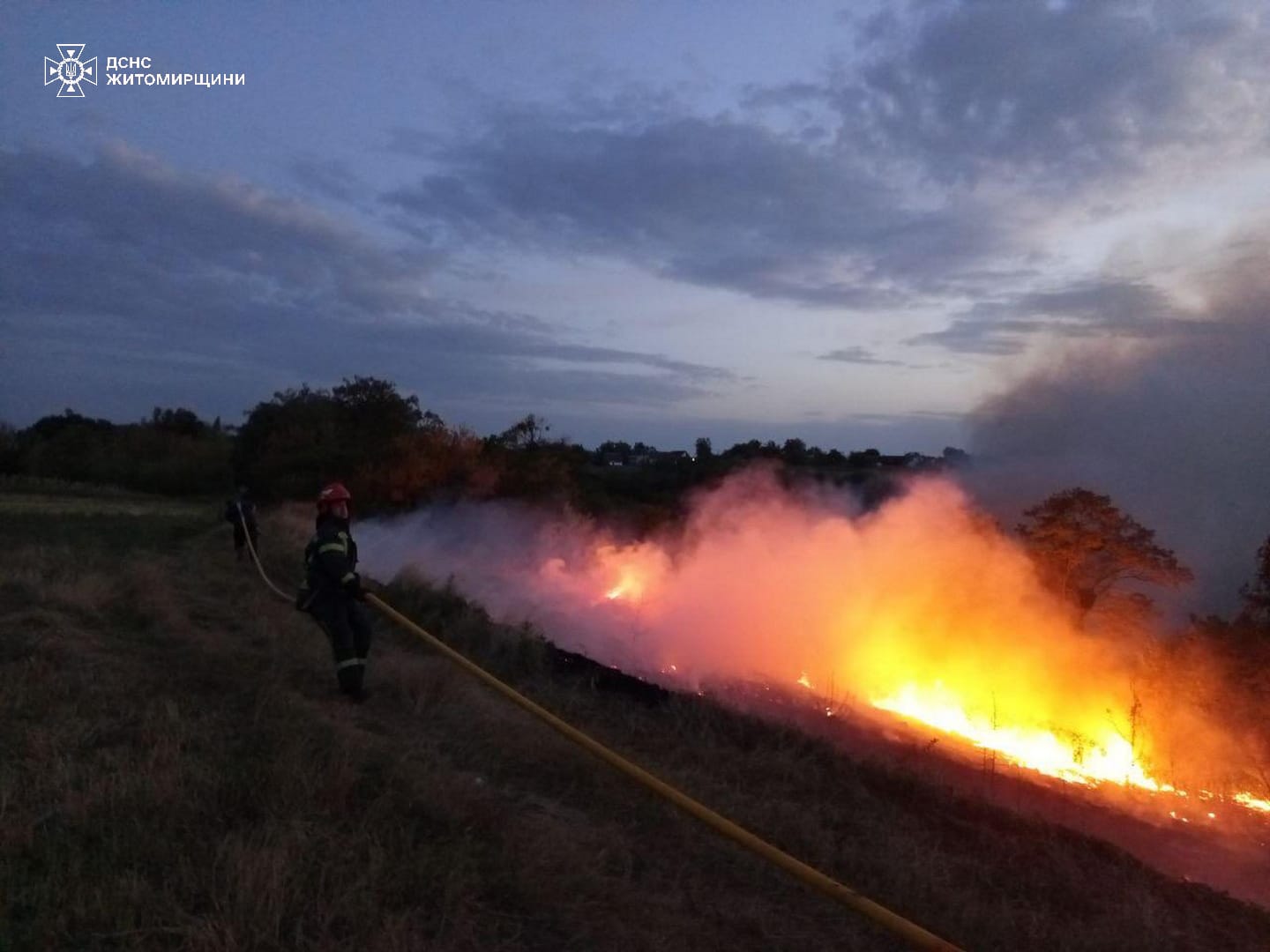 На Олевщині вигоріло понад гектар торфу